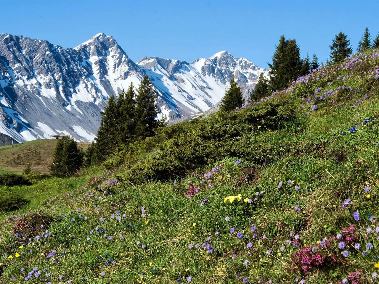 Apartamento entero, 2 Pièces 2 Personnes in Arosa (Grisones), Plessur alps