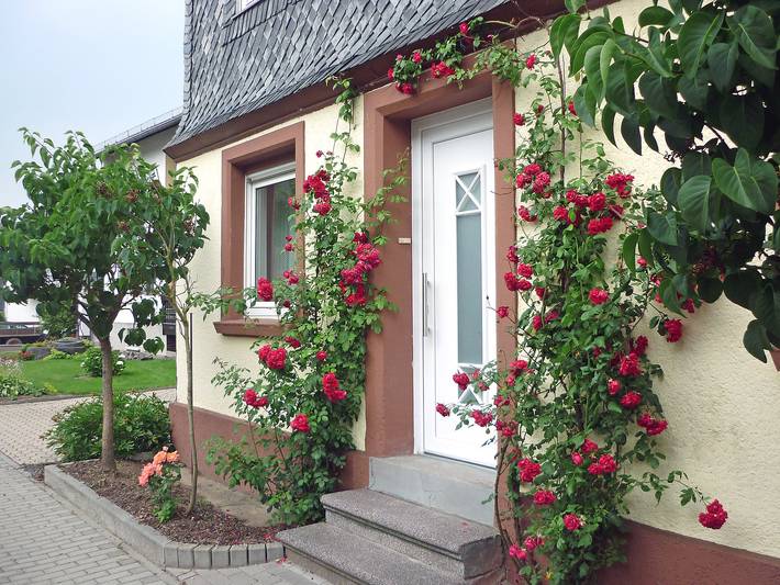 Ferienhaus für 6 Personen, mit Terrasse - 1