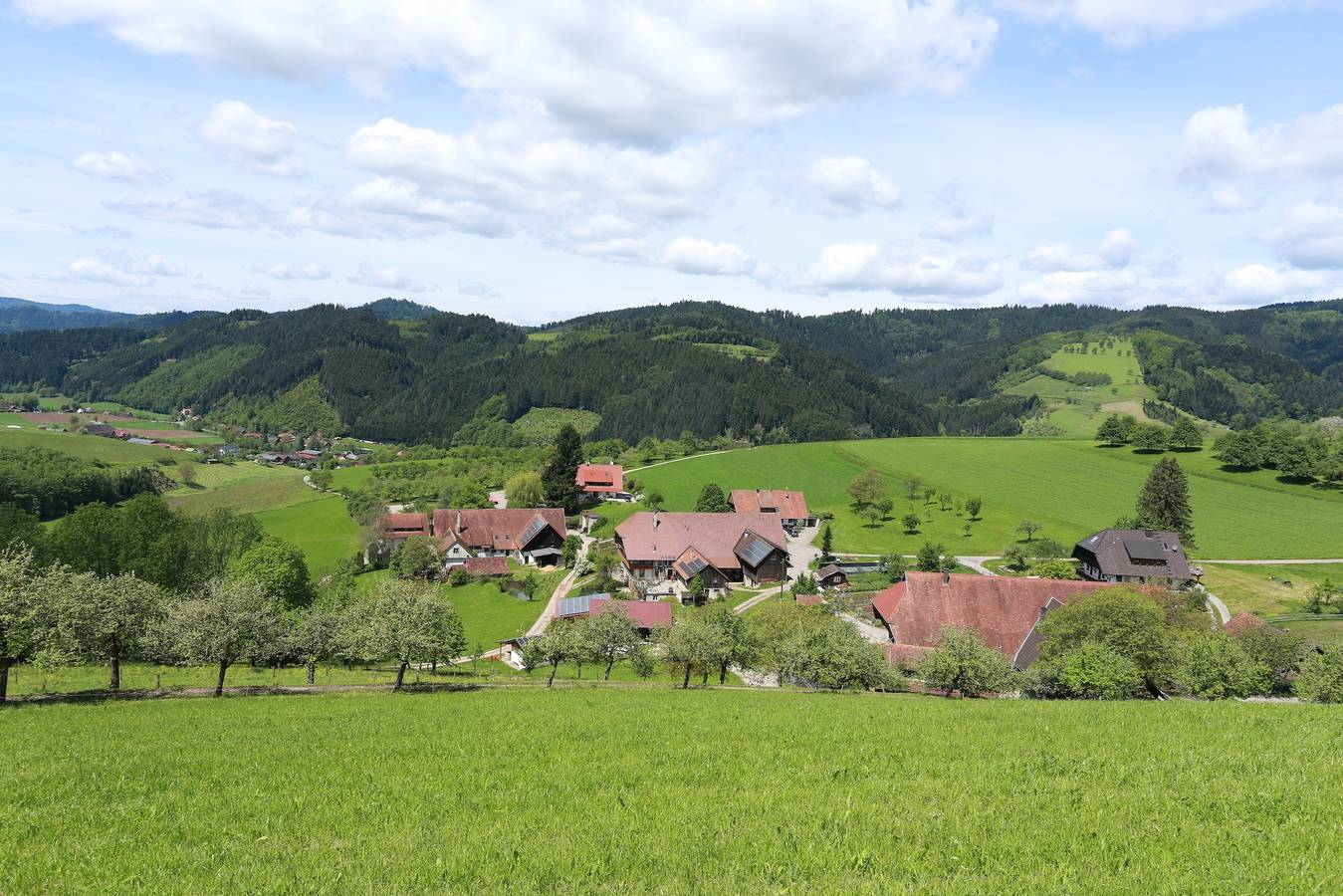 Apartamento inteiro, Apartamento 'FeWo Souterain Schwarzwaldh.-Wachtel' com vista para a montanha, terraço privado e Wi-Fi in Oberharmersbach, Central Black Forest