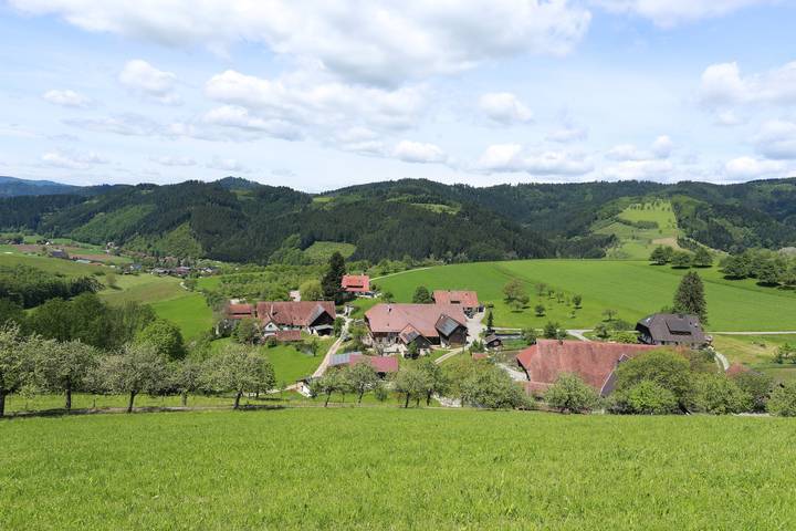 Ganze Wohnung, Ferienwohnung 'Im Bauernhaus' mit Bergblick, Gemeinschaftsterrasse und Gemeinschaftsgarten in Oberharmersbach, Mittlerer Schwarzwald