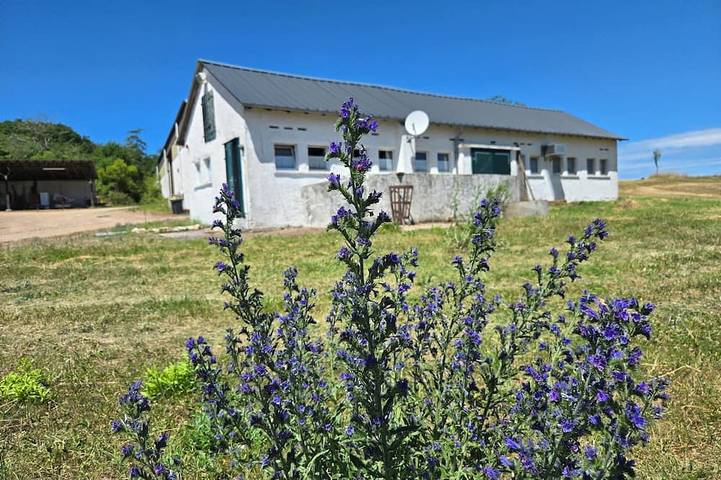 Ferienhaus für 3 Personen, mit Haustier in Loreley