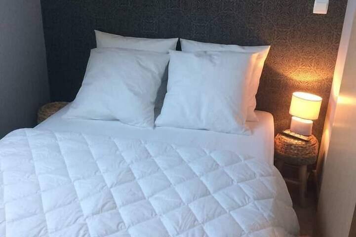 Gîte pour 4 personnes à Courbouzon - 3