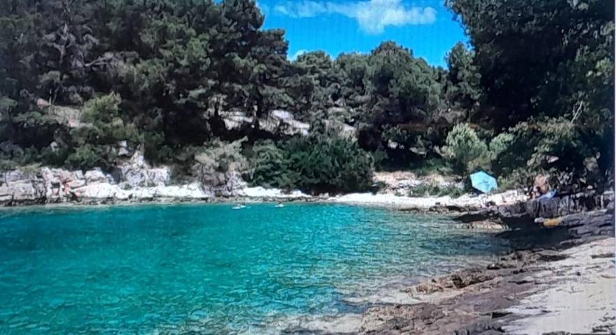 Villa pour 4 personnes, avec jardin et vue, animaux acceptés à Stari Grad - 2