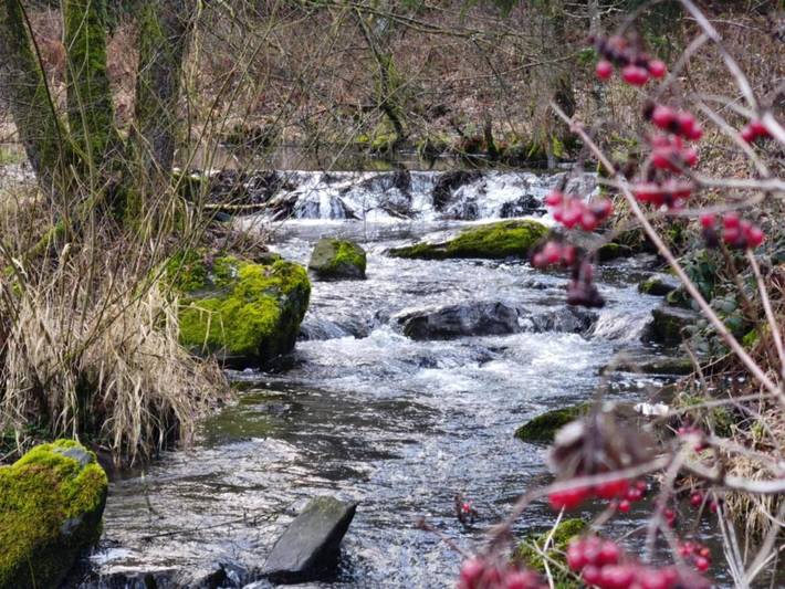 Location de vacances pour 6 personnes, avec vue et balcon à Bertogne - 3
