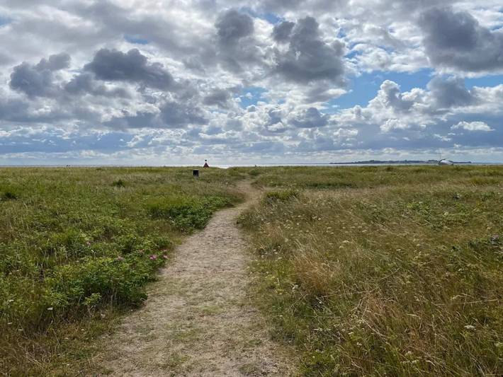 Ferienhaus für 6 Personen, mit Garten und Terrasse, mit Haustier in Diernæs - 4