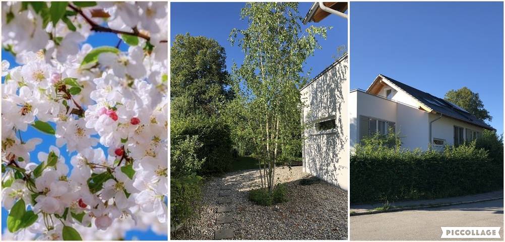 Ferienwohnung für 4 Personen, mit Terrasse und Garten am Ammersee - 2