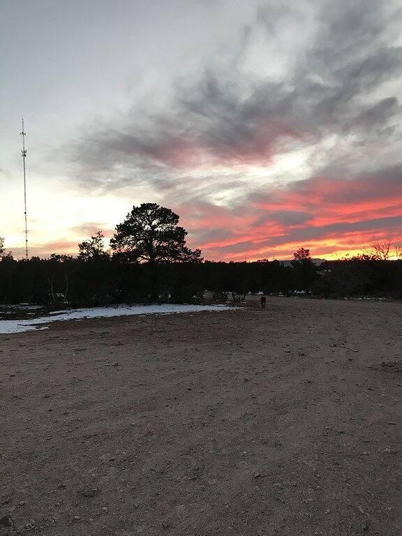 In the middle of Lincoln National Forest.  About an hour outside of Carlsbad. in Carlsbad Caverns Nationalpark