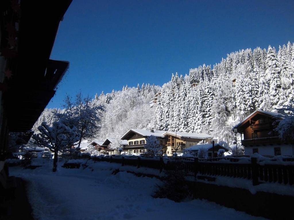 Geheel appartement, Two-Bedroom Apartment with Balcony in Viehhofen, Pinzgau