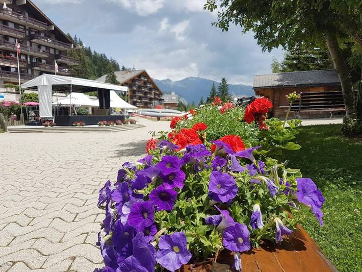 Location de vacances pour 2 personnes, avec terrasse et jardin dans Anzère - 2
