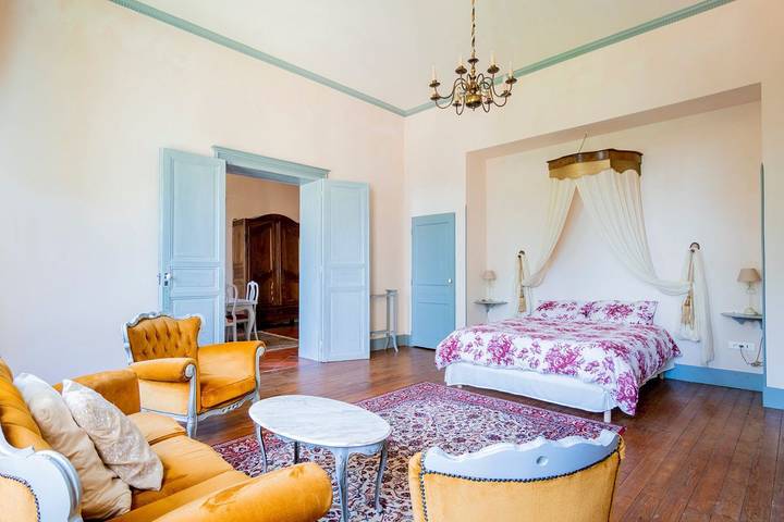 Château pour 20 personnes, avec terrasse et jardin, animaux acceptés dans Occitanie - 4