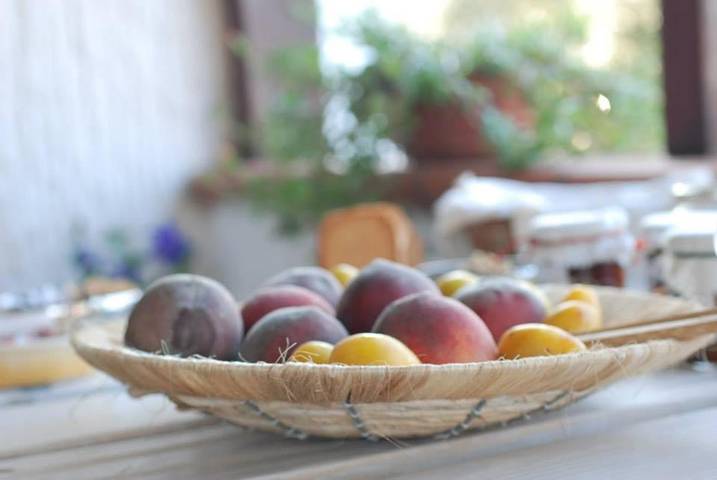 Gîte pour 3 personnes, avec jardin et jacuzzi dans Palmadula - 4