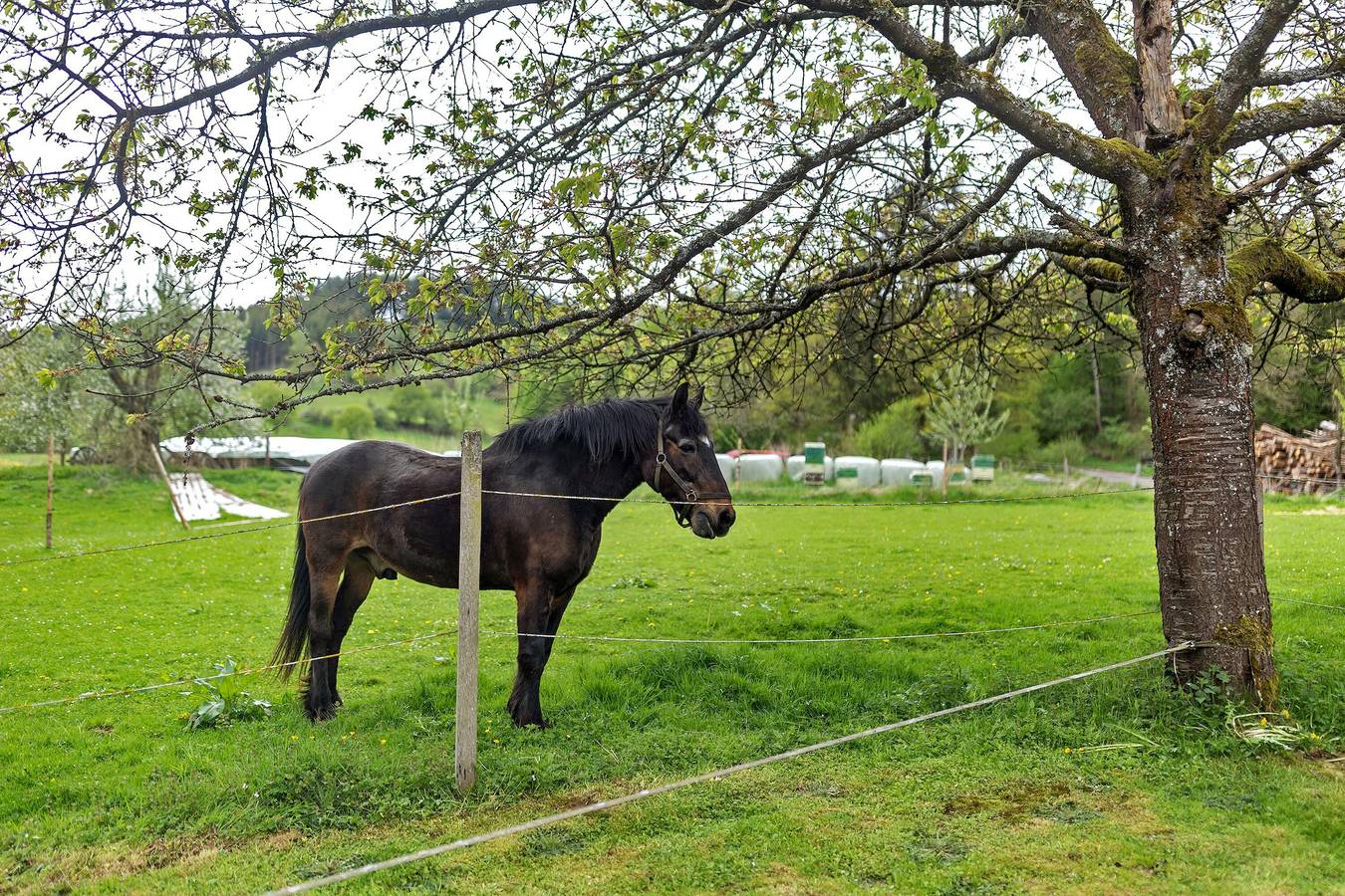 Geheel appartement, Vakantiewoning 'Gartenblick' met privéterras, eigen tuin en wifi in Eslohe, Hochsauerlandkreis