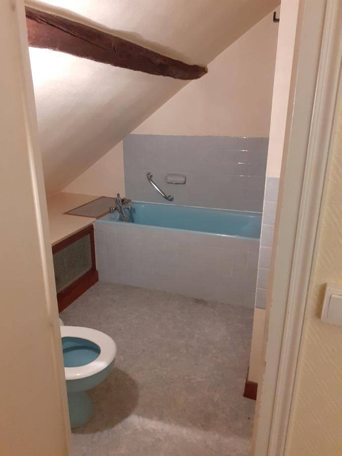 Hôtel pour 6 personnes, avec terrasse et vue, animaux acceptés à Rogny-les-Sept-Écluses - 3