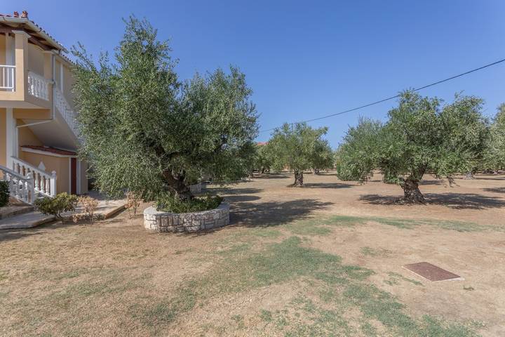 Studio für 2 Personen, mit Garten und Balkon auf Zakynthos - 3