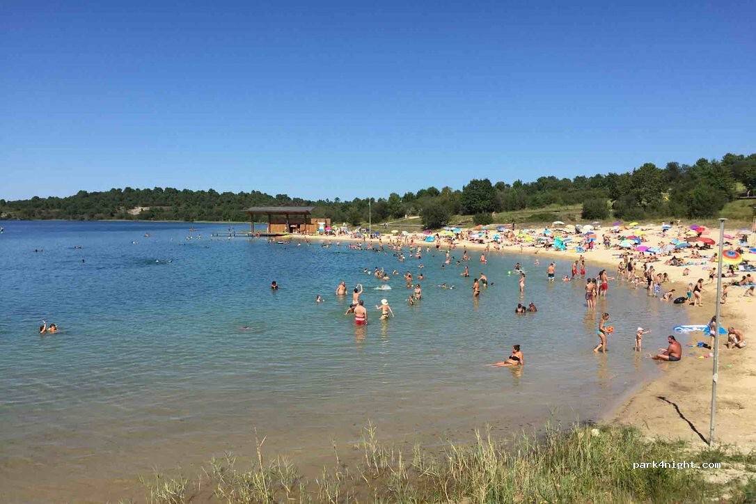 Arbousiers in Morcenx-la-Nouvelle, Landes