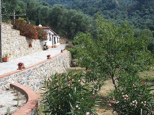 Charmantes Ferienhaus Casa Uliveto mit Terrasse und Garten in Diano San Pietro, Riviera di Ponente