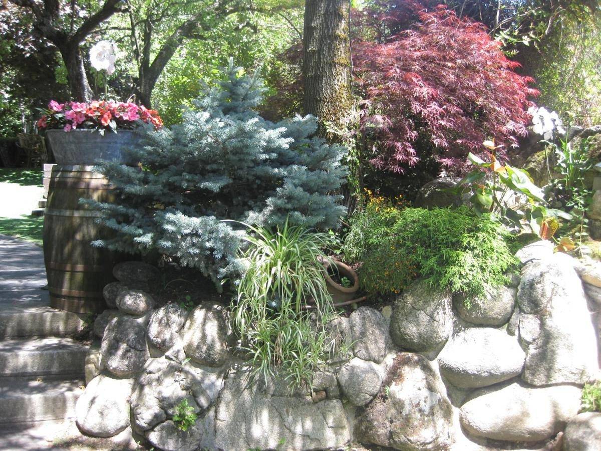 Hotel Rural Los Frutales in Cercedilla, Puerto de Navacerrada