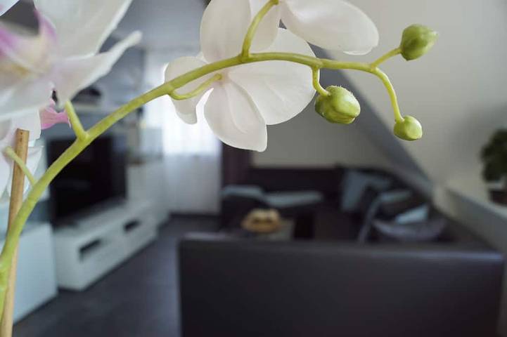 Ferienwohnung für 2 Personen, mit Garten in Lotte