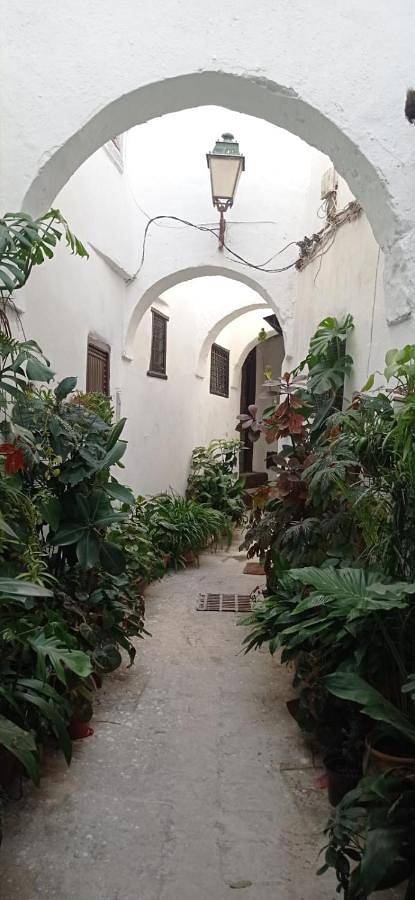 Maison d’hôte pour 3 personnes, avec jardin et vue, animaux acceptés dans Tétouan - 4