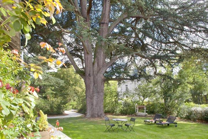 Hôtel pour 3 personnes, avec jacuzzi et sauna ainsi que piscine et jardin à Veigné - 4
