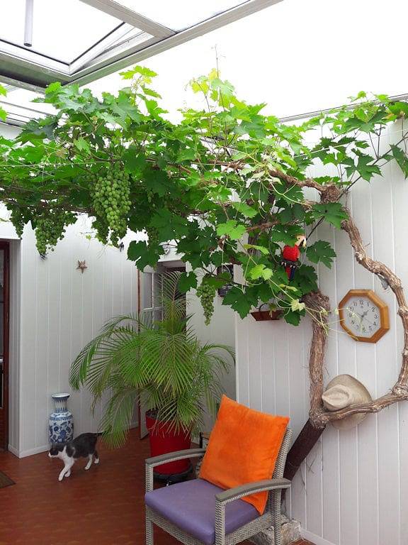 Chambre d'hôtes - Chambre 2 in Ars-en-Ré, Île de Ré