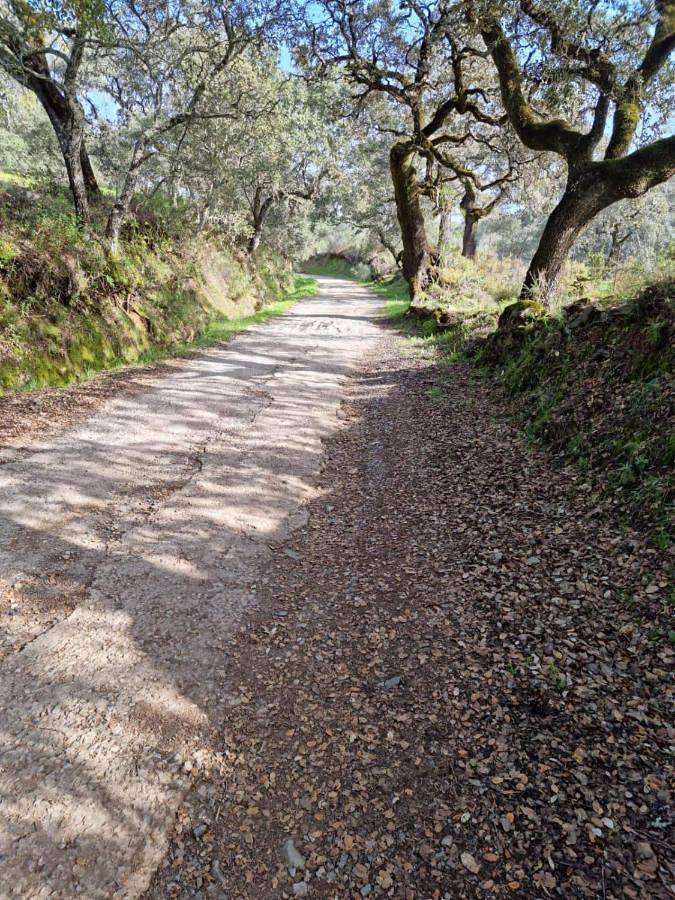 Casa rural para 8 personas, con piscina además de vistas y terraza en Aracena - 2