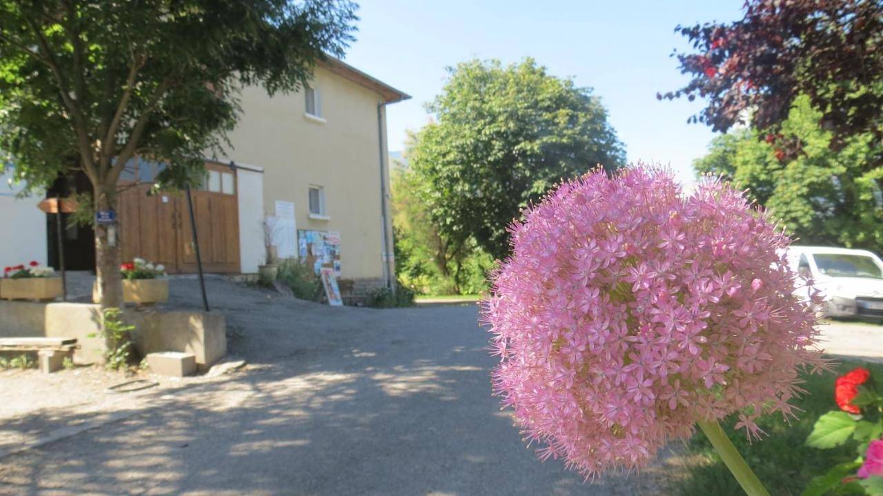 Mobile Home (2 Adults) in Embrun, Parc national des Écrins