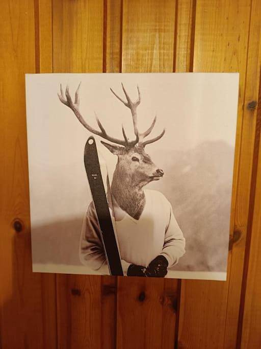 Location de vacances pour 5 personnes, avec vue et jardin à Picherande - 3