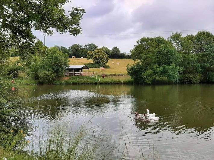 Gîte pour 6 personnes, avec vue ainsi que jardin et vue sur le lac, animaux acceptés à La Flocellière - 2