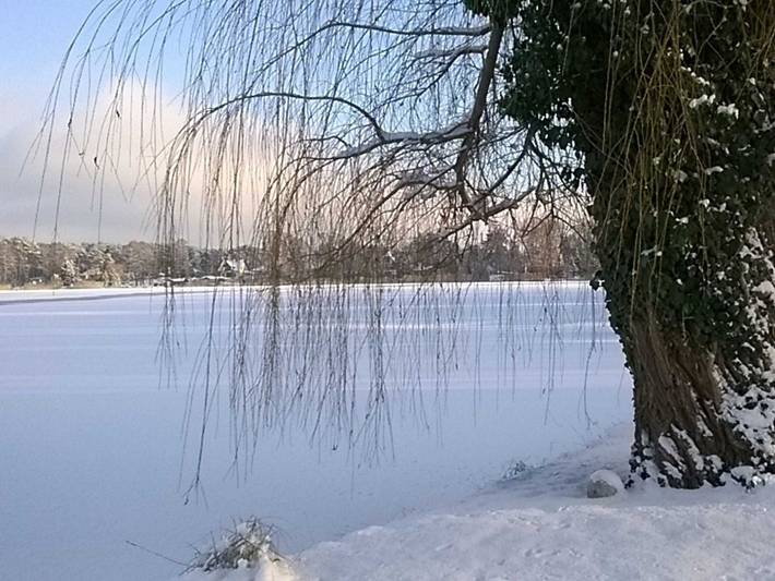 Hütte für 4 Personen, mit Seeblick und Ausblick sowie Garten, kinderfreundlich in Brandenburg - 3