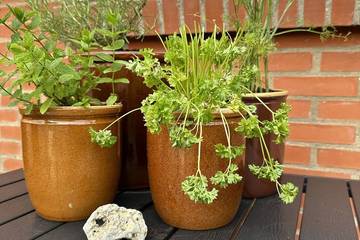 B&B für 4 Personen in Dänemark