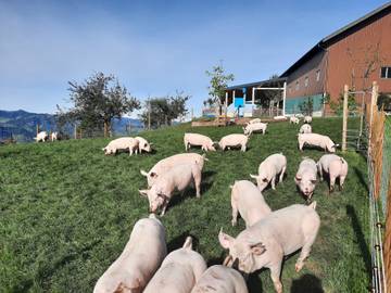 Ferienwohnung für 6 Personen in Marbach, Westalpen, Bild 4