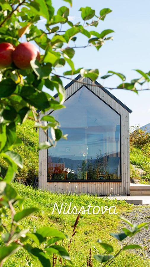 Ferienhaus für 4 Personen, mit Garten und Sauna sowie Ausblick, mit Haustier - 1