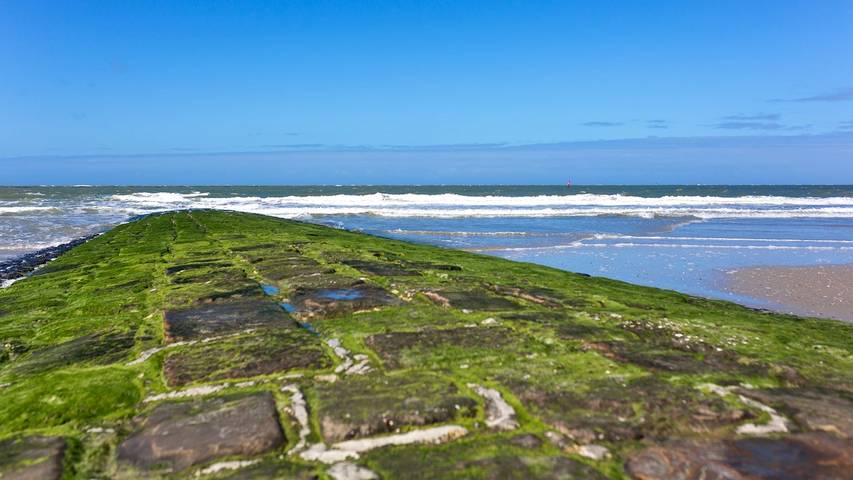 Ferienhaus für 3 Personen, mit Haustier auf Norderney - 3