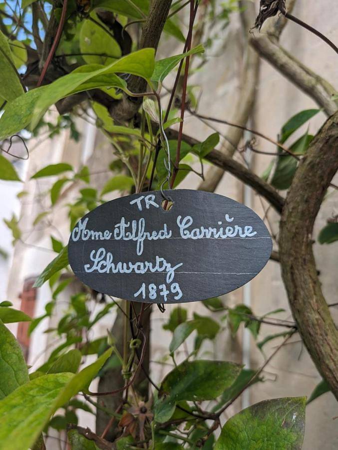 Gîte pour 5 personnes, avec terrasse et jardin à Chédigny - 2