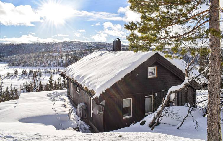 Ferienhaus für 7 Personen mit Garten in Nissedal