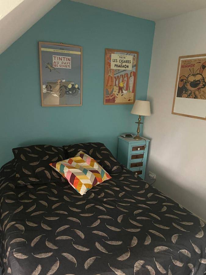 Gîte pour 8 personnes, avec jardin, animaux acceptés à Gond-Pontouvre - 3