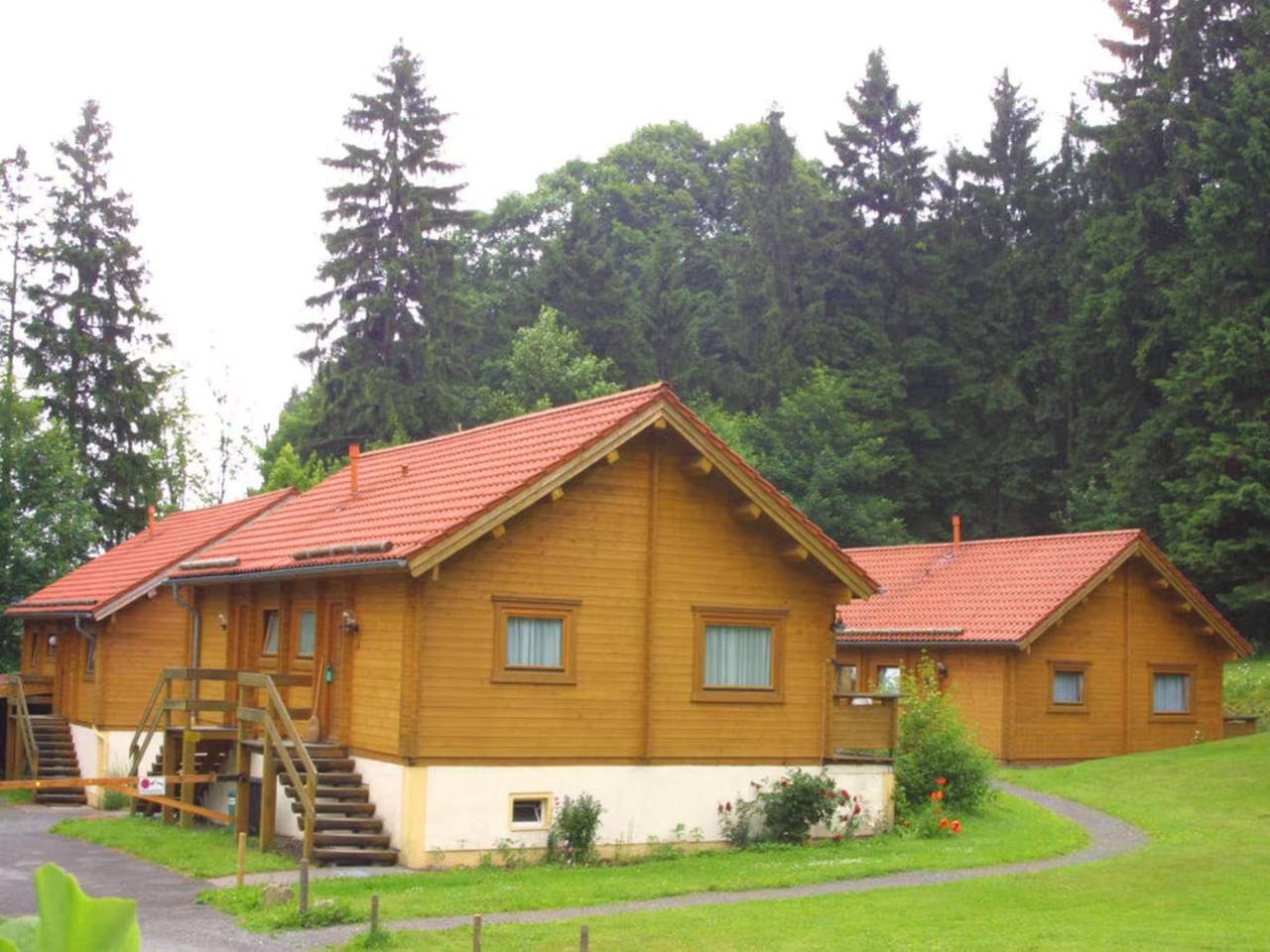 Schönes Ferienhaus direkt am Schwarzwildgehege in Benneckenstein, Harzvorland