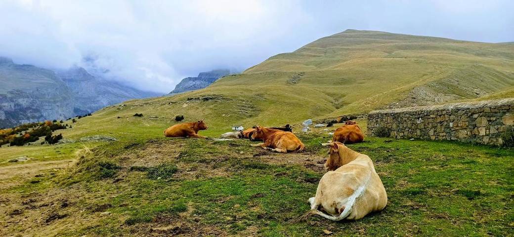 Casa rural para 4 personas, con balcón y vistas, Familias con niños en Parque nacional de Ordesa y Monte Perdido - 3