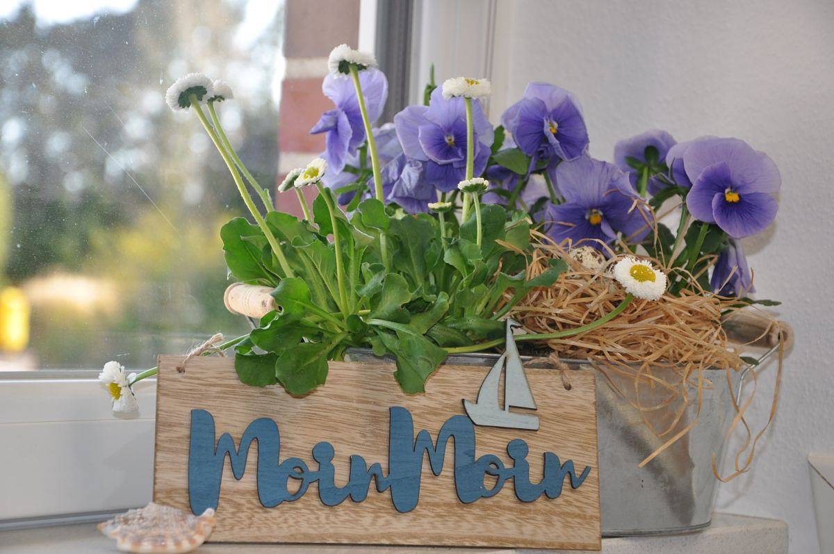 Ganze Ferienwohnung, Ferienwohnung Oland - Ferienwohnung-4-Räume - 01 in Hattstedt, Nordfriesland