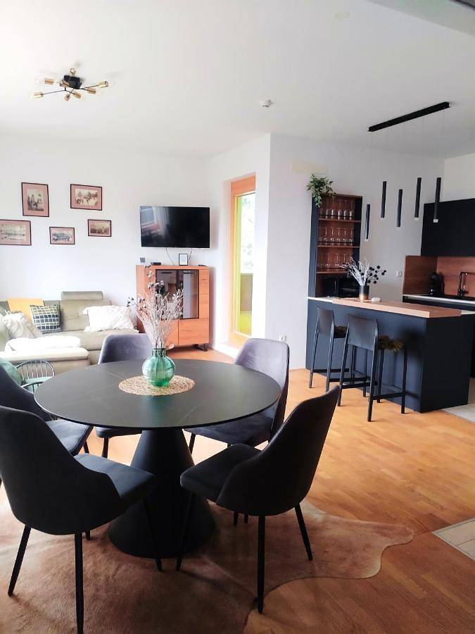 Gîte pour 4 personnes, avec balcon et vue, animaux acceptés à Maribor - 2