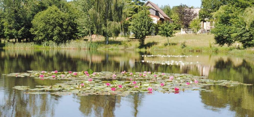 Gîte pour 4 personnes, avec piscine ainsi que vue et jardin à Sarlande