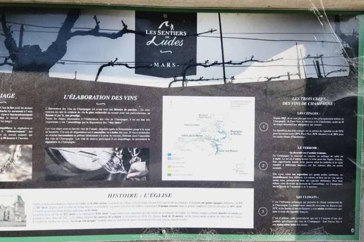 Location de vacances pour 7 personnes, avec vue ainsi que jardin et terrasse, animaux acceptés à Ludes - 4