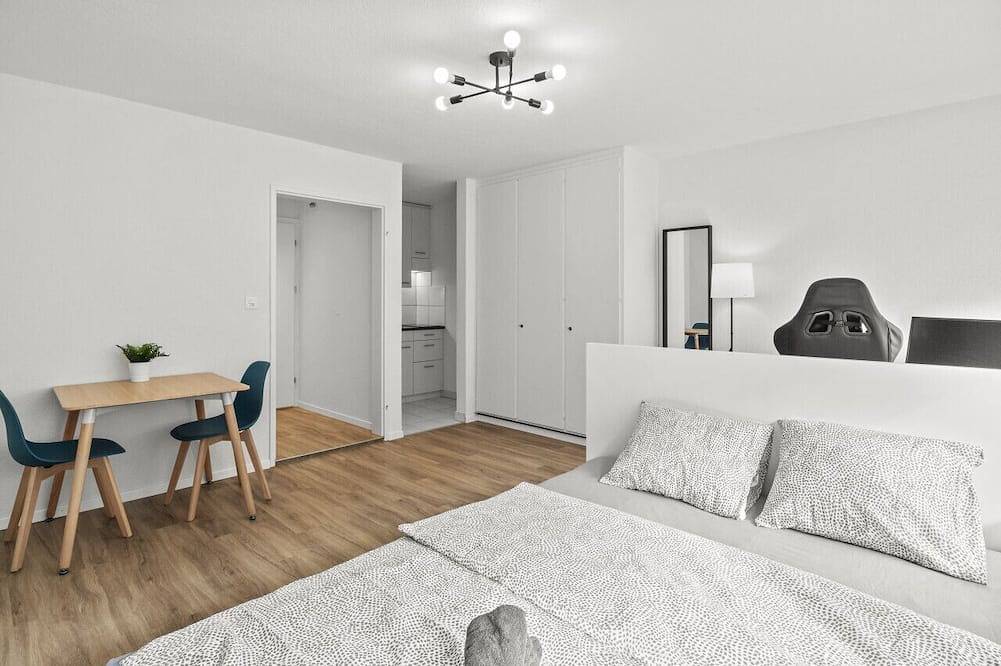 Appartamento intero, City Center_Twin Bed_Workplace_Washer in Winterthur, Canton Zurigo