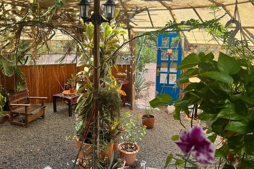 Casa Tabaiba - Private and exclusive retreat in northern Lanzarote in Mala, Haría