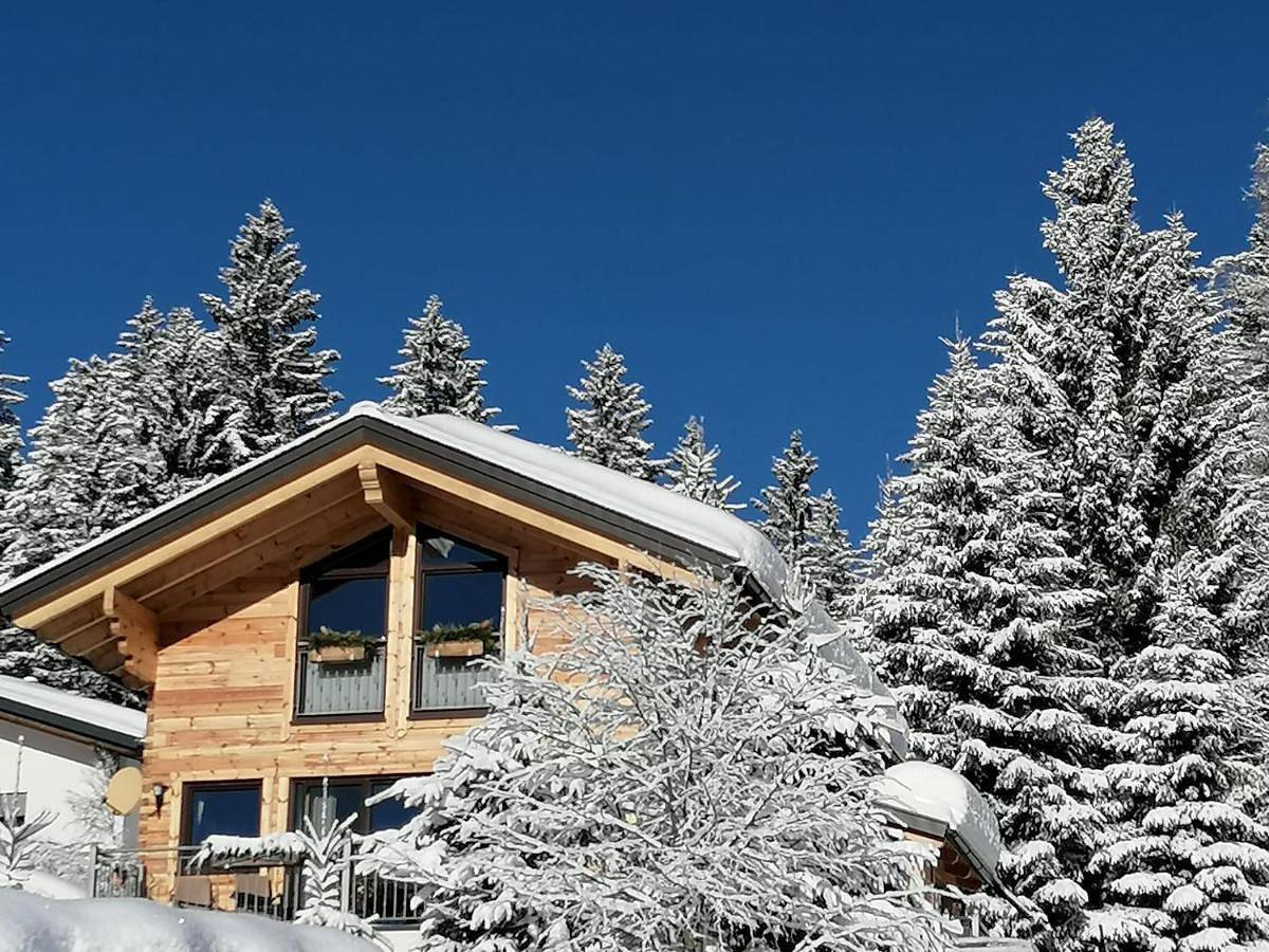 Geheel appartement, Chalet Bergheimat in Wagrain, Ski Amadé
