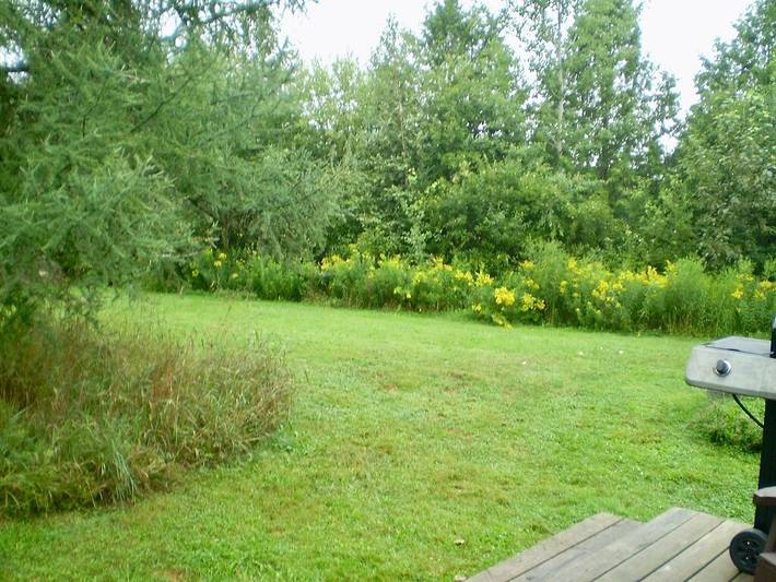 Vacation home for 6 people, with terrace and yard in Vermont