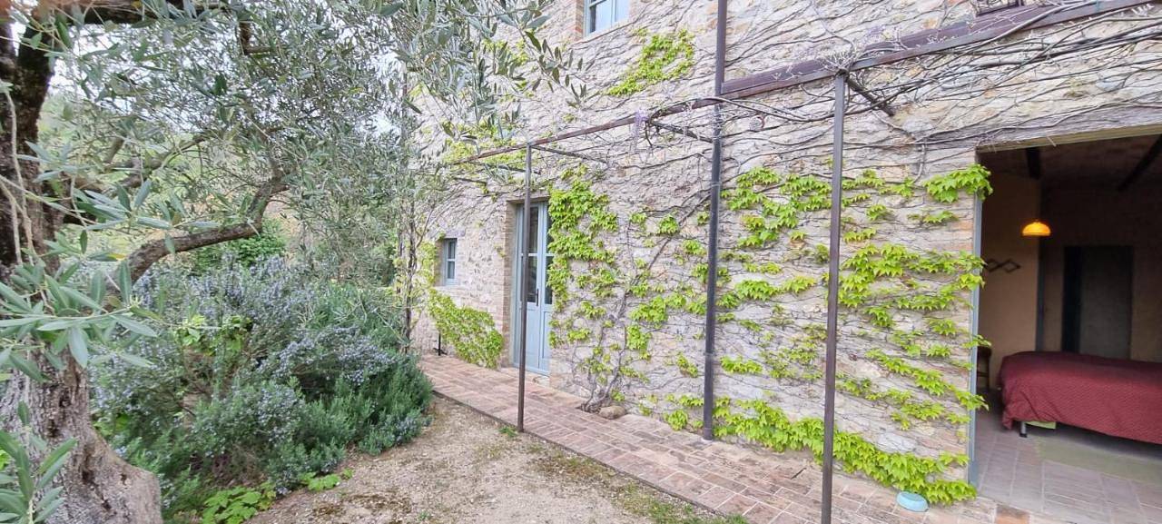 Borgo Cardaneto in Montone, Valtiberina