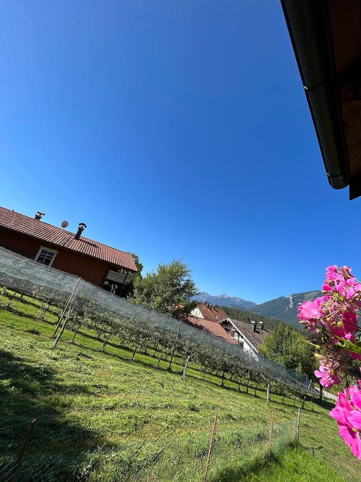 Ferienwohnung für 2 Personen, mit Balkon und Garten in Marquartstein - 3