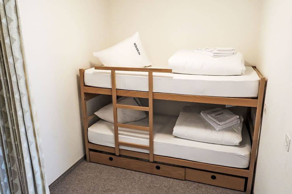 Ganze Wohnung, Apt C 015 by Interhome in Disentis, Surselva